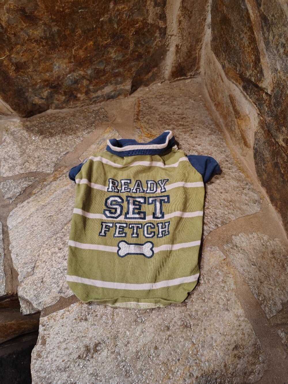 Martha Stewart Pets Dog Polo Size Medium Ready Set Fetch Shirt Stripes Cotton